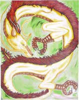 /album/fotogaleria/dragon-jpg/